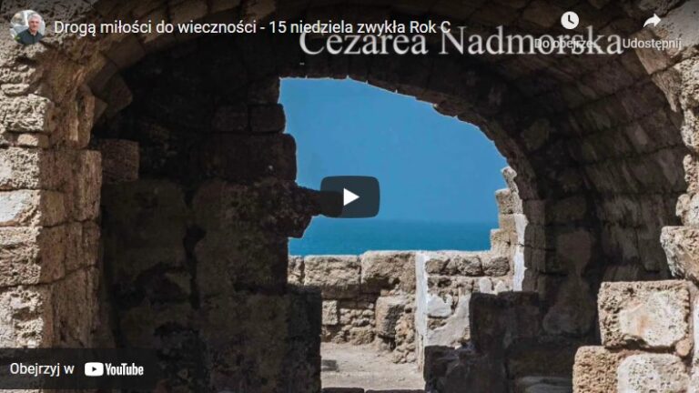 Drogą miłości do wieczności – 15 niedziela zwykła Rok C