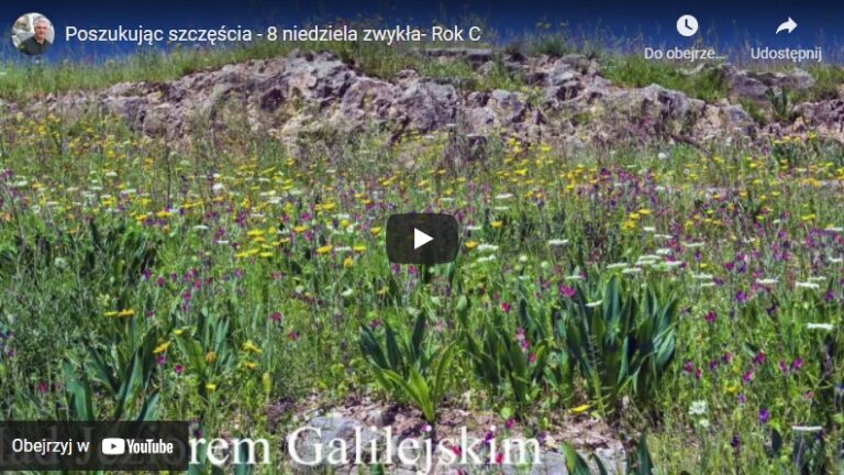 Poszukując szczęścia – 8 niedziela zwykła- Rok C