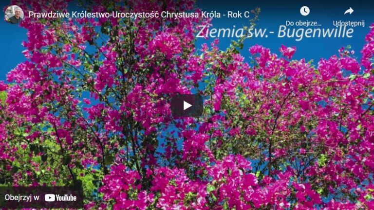 Prawdziwe Królestwo – Uroczystość Chrystusa Króla – Rok C