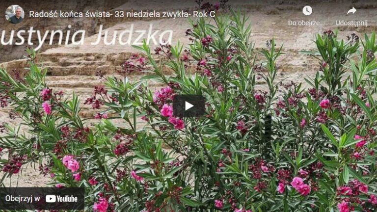 Radość końca świata – 33 niedziela zwykła – Rok C