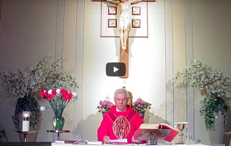 Uroczystość zesłania Ducha Świętego – Msza św. w kościele św. Stanisława BiM w Ozone Park, NY