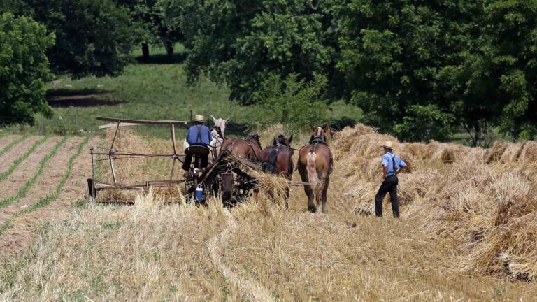 Amish Country