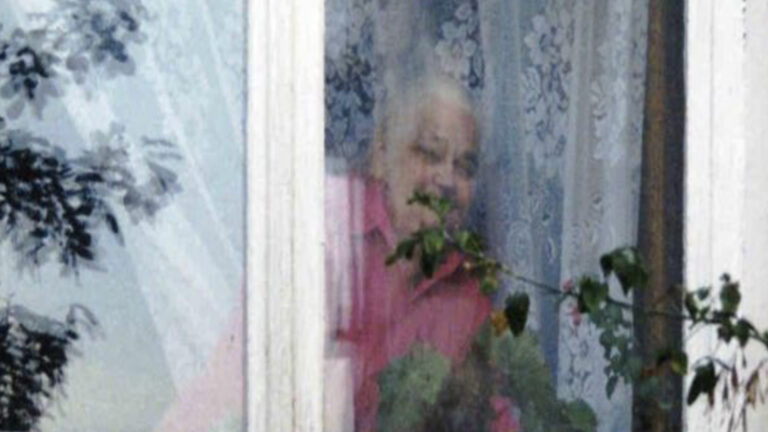 The Mother in the Window