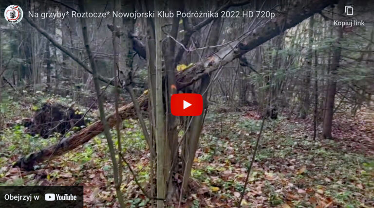 Na grzyby-Roztocze*NKP 2022
